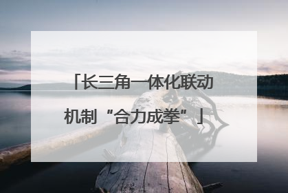 长三角一体化联动机制“合力成拳”