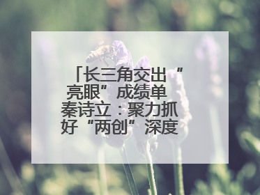 长三角交出“亮眼”成绩单 秦诗立：聚力抓好“两创”深度融合这个棋眼