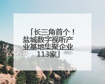 长三角首个！盐城数字视听产业基地集聚企业113家
