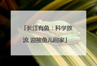 长江有鱼：科学放流 迎接鱼儿回家