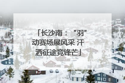 长沙南：“羽”动赛场展风采 汗洒征途竞锋芒