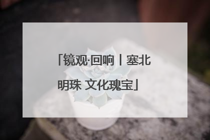 镜观·回响丨塞北明珠 文化瑰宝