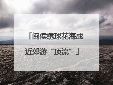 闽侯绣球花海成近郊游“顶流”