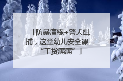 防暴演练+警犬缉捕，这堂幼儿安全课“干货满满”