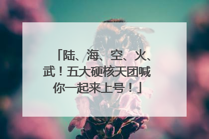 陆、海、空、火、武！五大硬核天团喊你一起来上号！