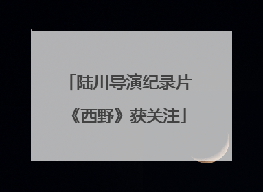 陆川导演纪录片《西野》获关注
