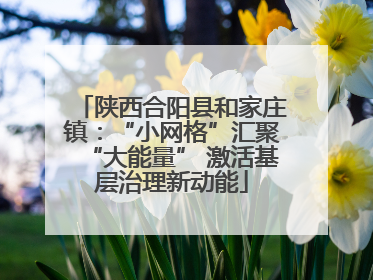陕西合阳县和家庄镇：“小网格”汇聚“大能量” 激活基层治理新动能