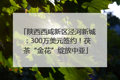 陕西西咸新区泾河新城：300万美元签约！茯茶“金花”绽放中亚
