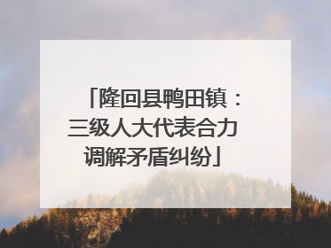 隆回县鸭田镇：三级人大代表合力调解矛盾纠纷