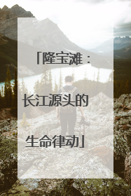 隆宝滩：长江源头的生命律动