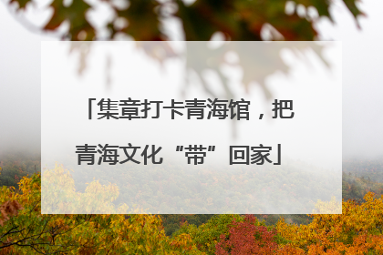 集章打卡青海馆，把青海文化“带”回家