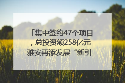 集中签约47个项目，总投资额258亿元 雅安再添发展“新引擎”｜数读西投