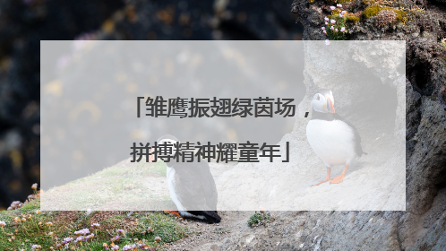 雏鹰振翅绿茵场，拼搏精神耀童年