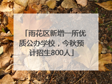 雨花区新增一所优质公办学校，今秋预计招生800人