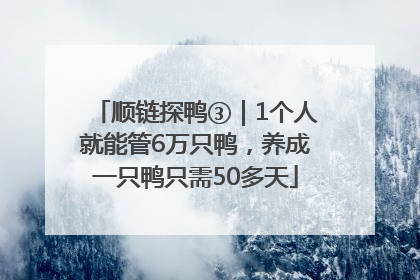 顺链探鸭③｜1个人就能管6万只鸭，养成一只鸭只需50多天
