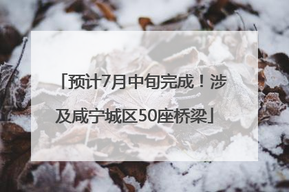 预计7月中旬完成！涉及咸宁城区50座桥梁