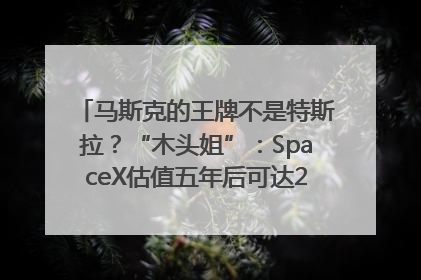 马斯克的王牌不是特斯拉？“木头姐”：SpaceX估值五年后可达2.5万亿美元！