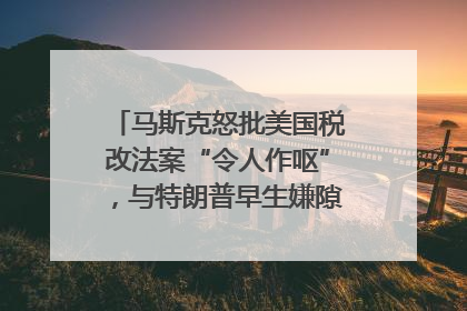 马斯克怒批美国税改法案“令人作呕”，与特朗普早生嫌隙？｜国际识局