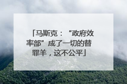 马斯克：“政府效率部”成了一切的替罪羊，这不公平
