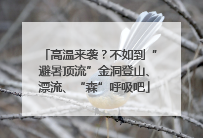 高温来袭？不如到“避暑顶流”金洞登山、漂流、“森”呼吸吧