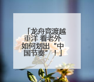 龙舟竞渡越重洋 看老外如何划出“中国节奏”！
