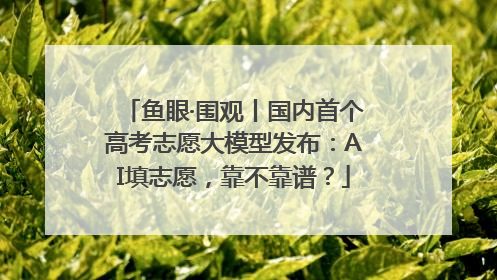 鱼眼·围观丨国内首个高考志愿大模型发布：AI填志愿，靠不靠谱？