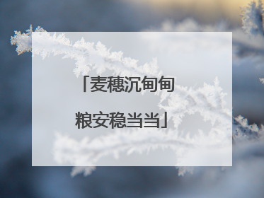 麦穗沉甸甸 粮安稳当当