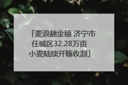 麦浪翻金穗 济宁市任城区32.28万亩小麦陆续开镰收割
