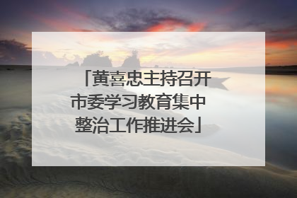 黄喜忠主持召开市委学习教育集中整治工作推进会