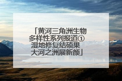 黄河三角洲生物多样性系列报道①湿地修复结硕果 大河之洲展新颜