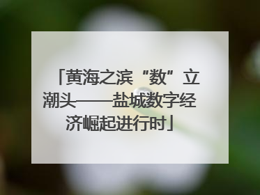 黄海之滨“数”立潮头——盐城数字经济崛起进行时