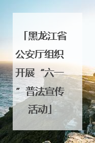 黑龙江省公安厅组织开展“六一”普法宣传活动