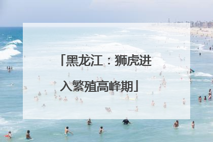 黑龙江：狮虎进入繁殖高峰期