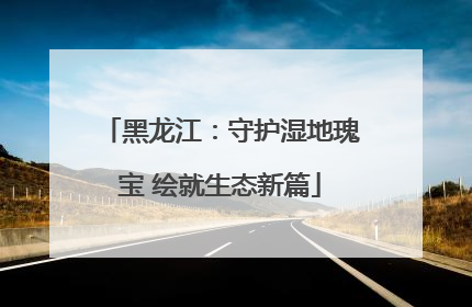 黑龙江：守护湿地瑰宝 绘就生态新篇
