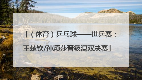 （体育）乒乓球——世乒赛：王楚钦/孙颖莎晋级混双决赛
