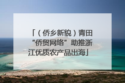 （侨乡新貌）青田“侨贸网络”助推浙江优质农产品出海