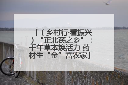 （乡村行·看振兴）“正北芪之乡”：千年草本焕活力 药材生“金”富农家