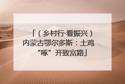 （乡村行·看振兴）内蒙古鄂尔多斯：土鸡“啄”开致富路