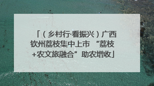 （乡村行·看振兴）广西钦州荔枝集中上市 “荔枝+农文旅融合”助农增收