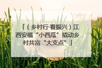 （乡村行·看振兴）江西安福“小西瓜”撬动乡村共富“大支点”