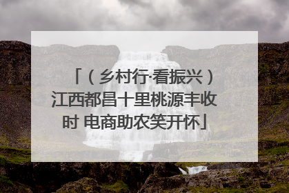 （乡村行·看振兴）江西都昌十里桃源丰收时 电商助农笑开怀