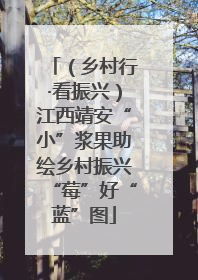 （乡村行·看振兴）江西靖安“小”浆果助绘乡村振兴“莓”好“蓝”图