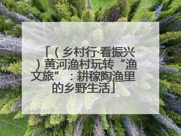 （乡村行·看振兴）黄河渔村玩转“渔文旅”：耕稼陶渔里的乡野生活
