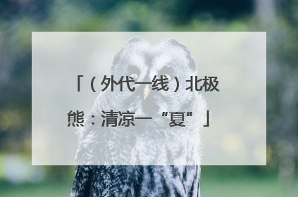 （外代一线）北极熊：清凉一“夏”