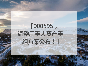 000595，调整后重大资产重组方案公布！