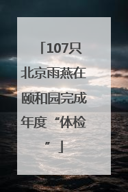 107只北京雨燕在颐和园完成年度“体检”