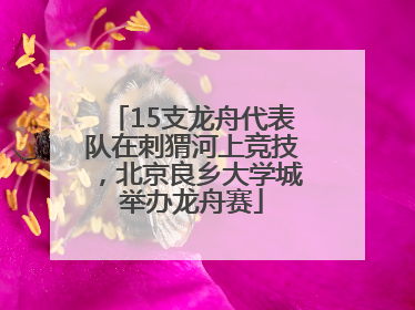 15支龙舟代表队在刺猬河上竞技，北京良乡大学城举办龙舟赛