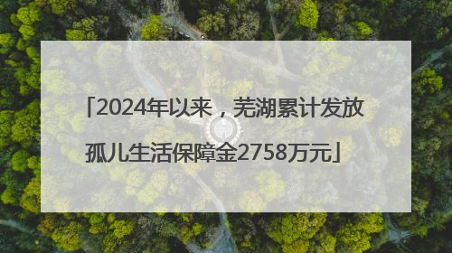 2024年以来，芜湖累计发放孤儿生活保障金2758万元