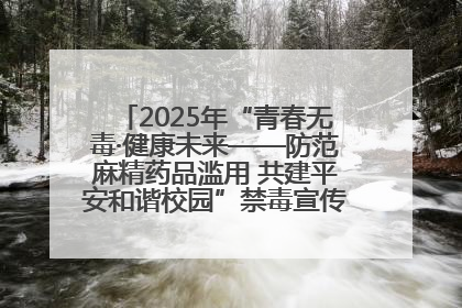 2025年“青春无毒·健康未来——防范麻精药品滥用 共建平安和谐校园”禁毒宣传专题活动在咸宁举行