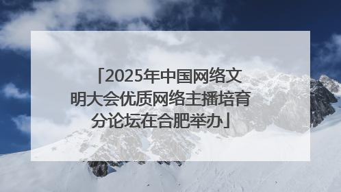 2025年中国网络文明大会优质网络主播培育分论坛在合肥举办